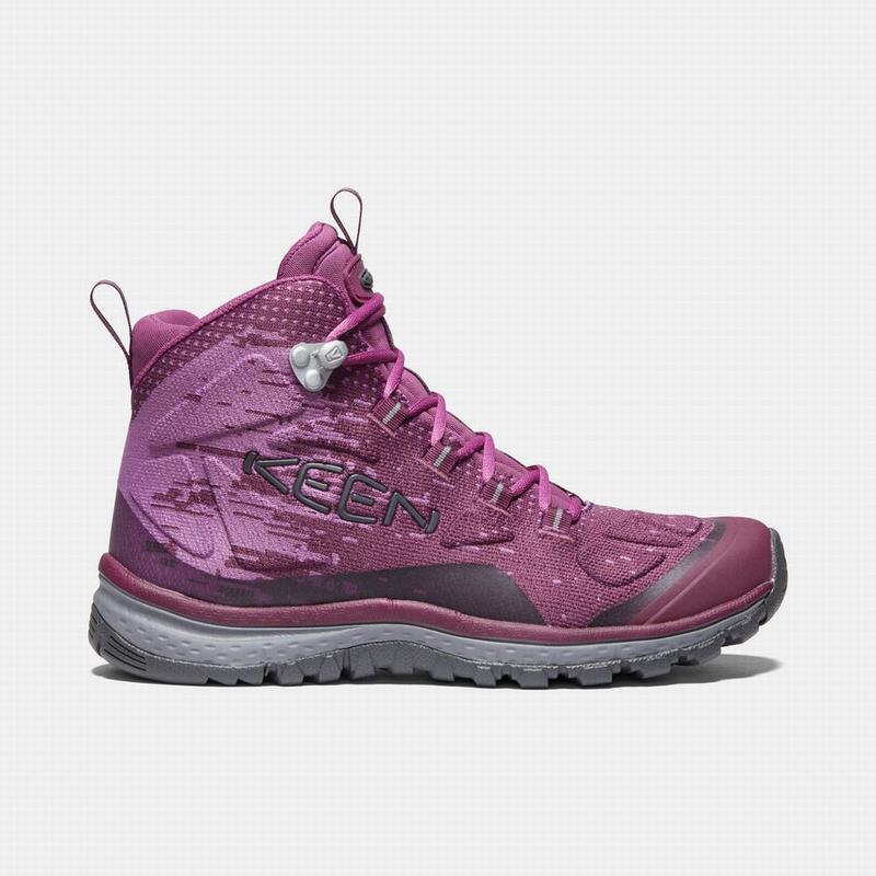 Botas De Montaña Keen Terradora Evo Mid Para Mujer Morados - Botas Keen Mexico (815392-NAG)